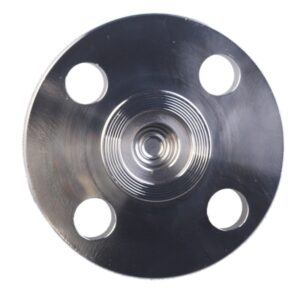Flanged Diaphragm Seal Insert Type